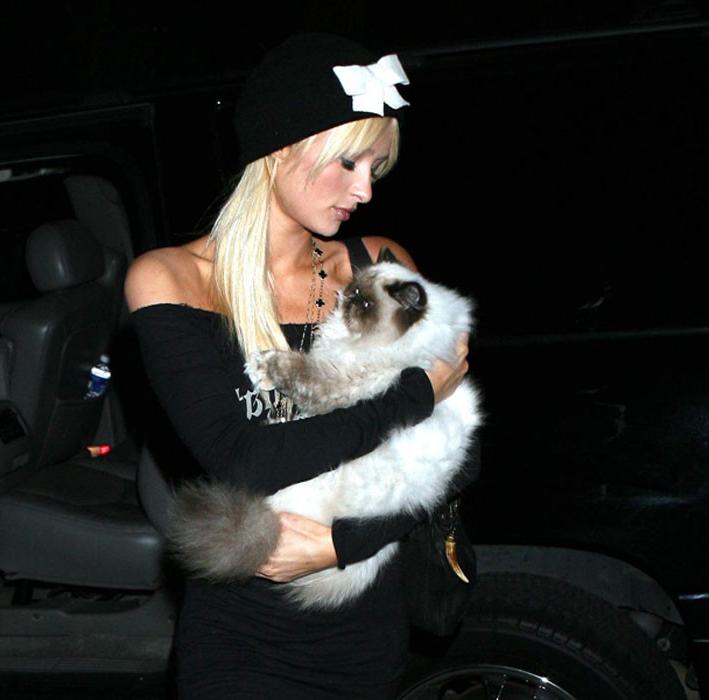 16P Paris Hilton have sex with her sister Niki Hilton in car