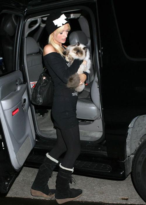16P Paris Hilton have sex with her sister Niki Hilton in car
