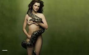 16P Celebs to wank over