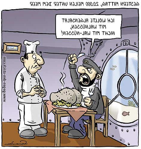 17P Funny 16