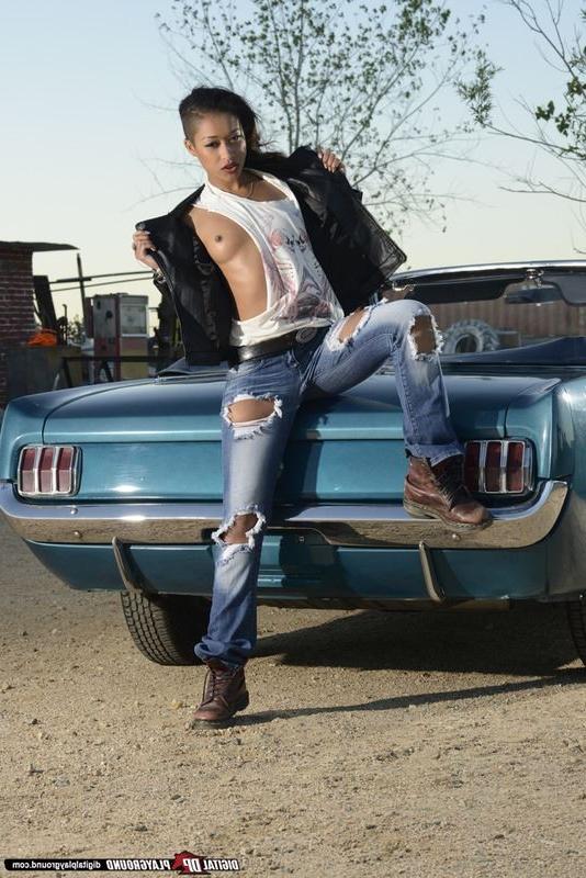 16P Dani Daniels and Skin Diamond make love in a car