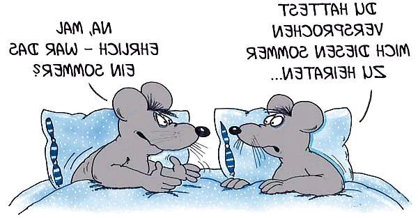 18P Funny 14