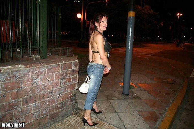 15P Transsexual hooker with tight ass and huge tits