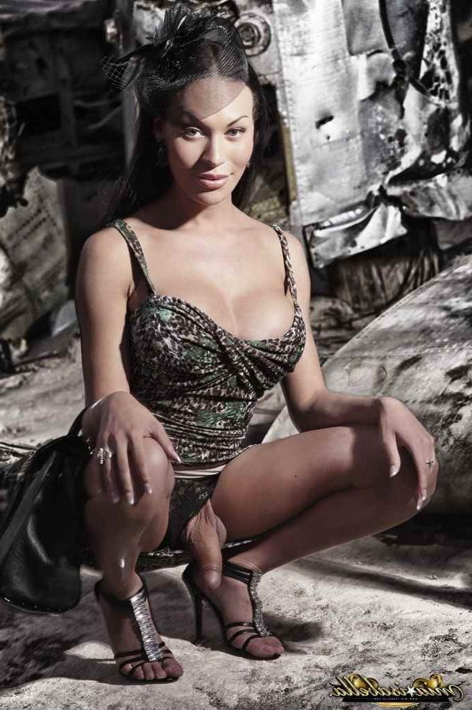 16P Sexy shemale posing
