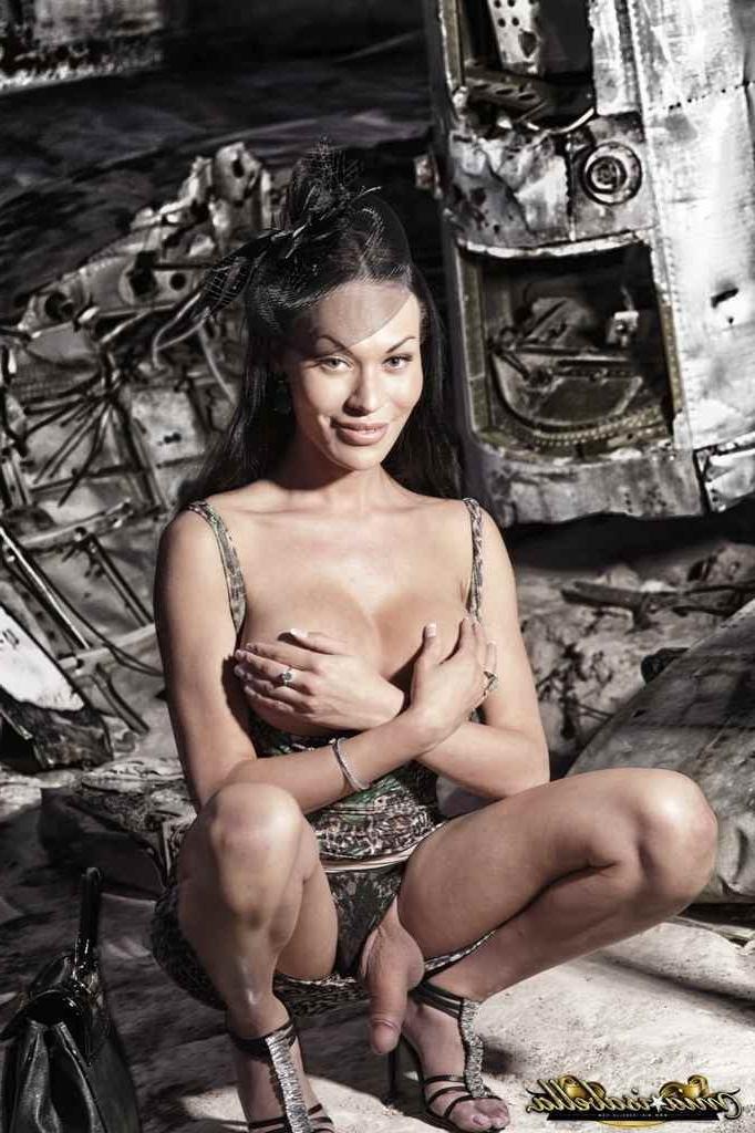 16P Sexy shemale posing