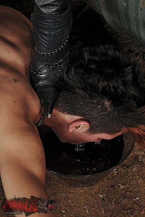 15P Sadistic shemale domme and her malebitch