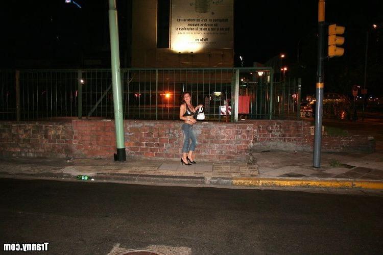 16P Big boobed tranny hooker sucking and having her tight ass nailed