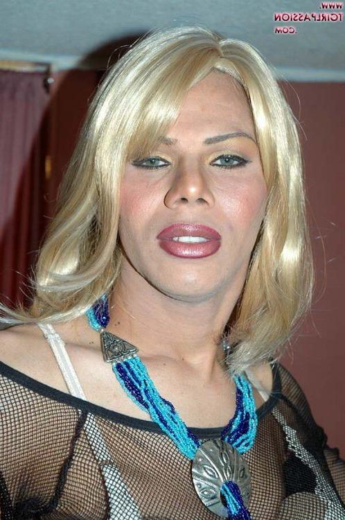 16P Dominican shemale stroking her huge black love toy