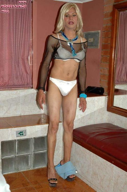 16P Dominican shemale stroking her huge black love toy
