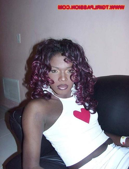 16P Dominican shemale stroking her huge black love toy