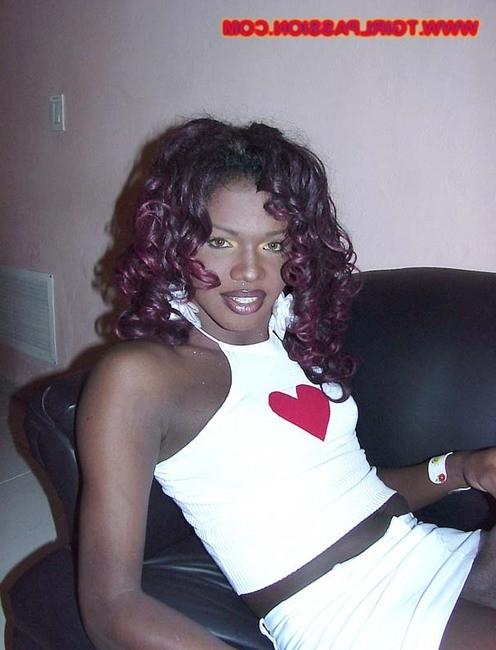 16P Dominican shemale stroking her huge black love toy