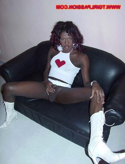 16P Dominican shemale stroking her huge black love toy