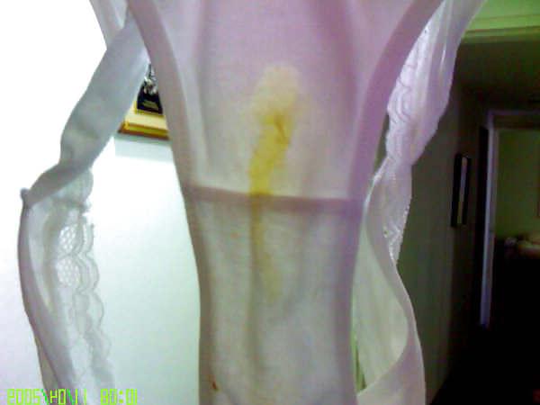 25P Pantaletas Admirador