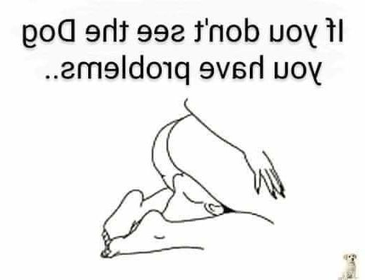 14P Funny Memes