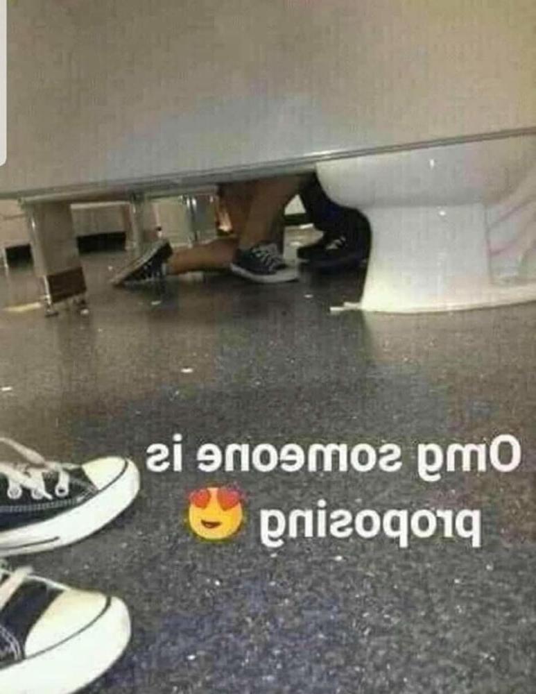 14P Funny Memes