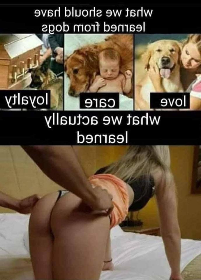 14P Funny Memes