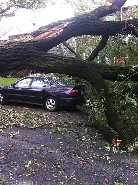 10P Pictures of Lucky Escapes