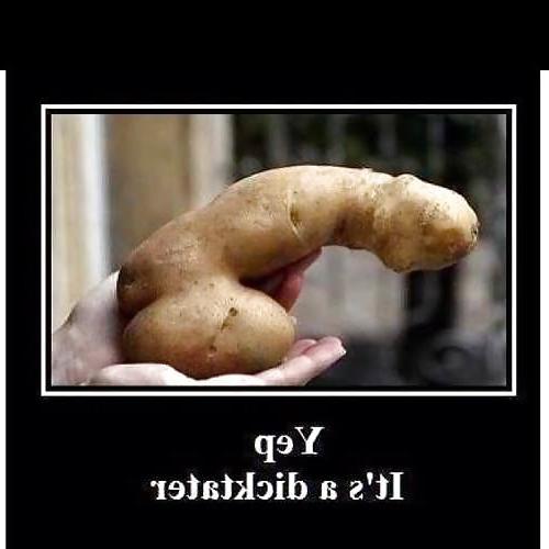 25P Just some funny stuff