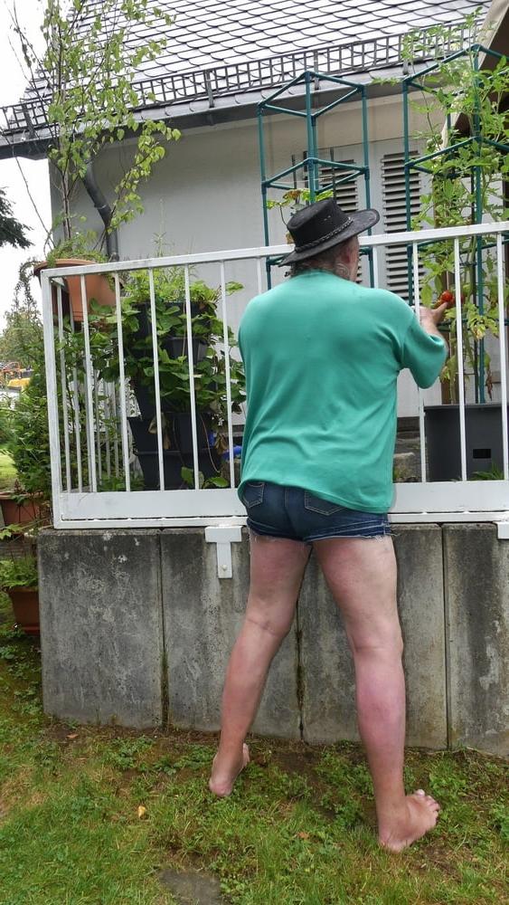 25P In Shorts