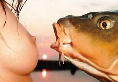 25P Mature Fishing By TROC