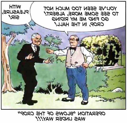 9P 23 Cartoon