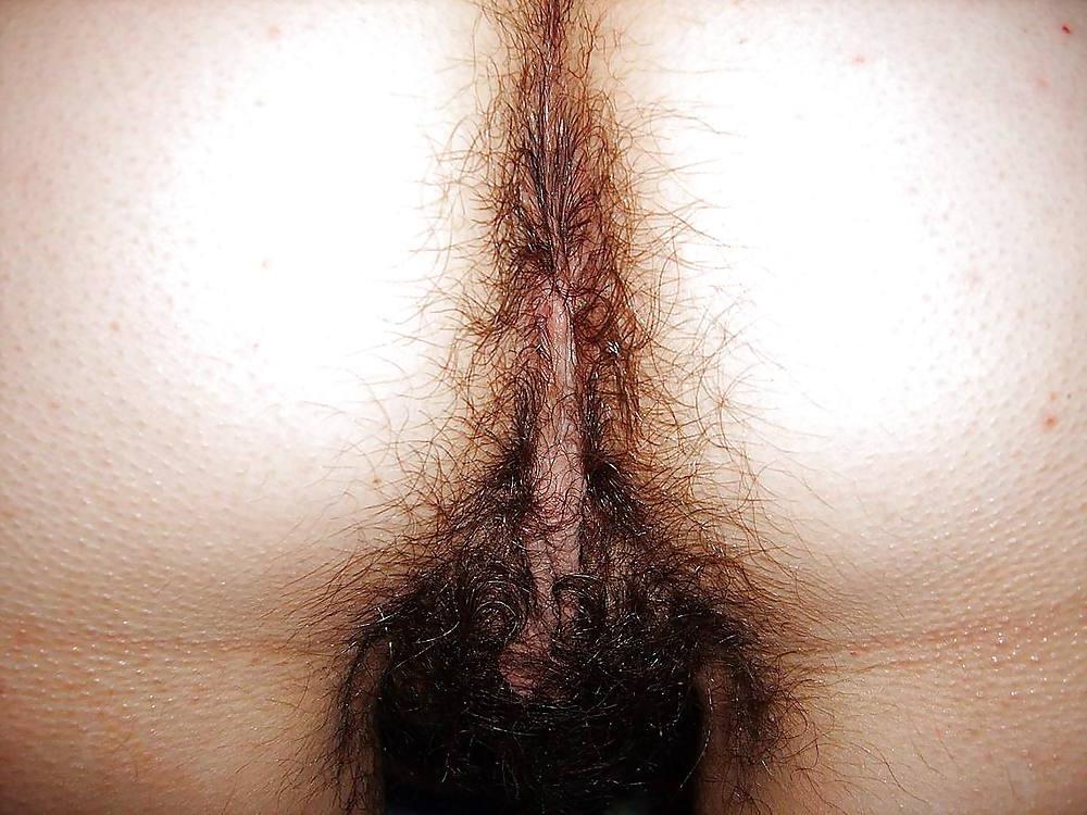 25P All the pics i have