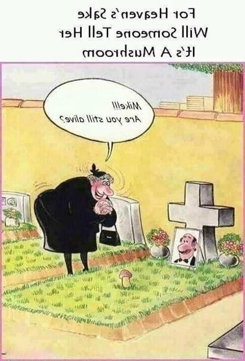 20P Funny