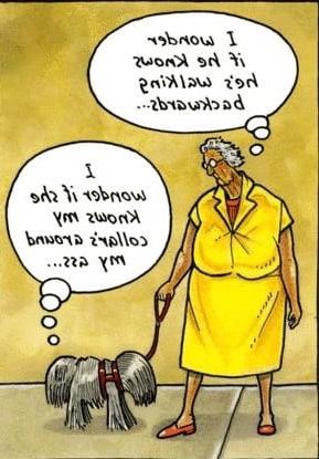 20P Funny