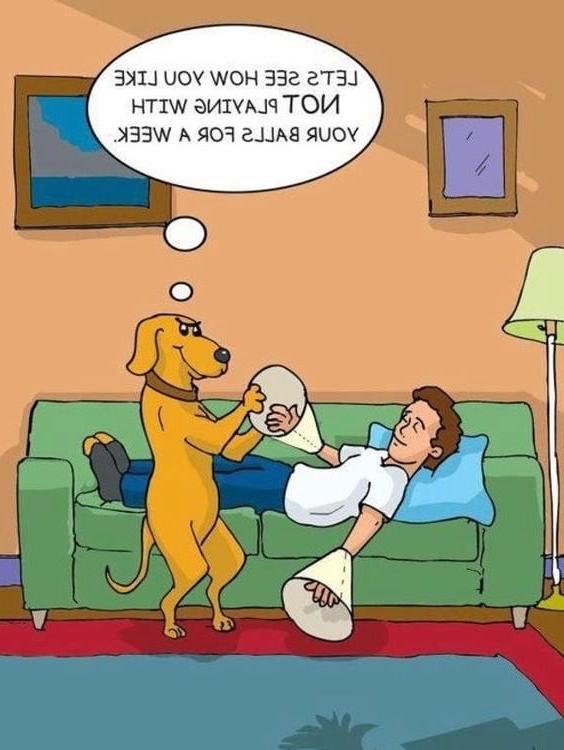 20P Funny