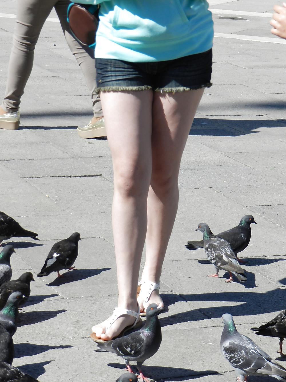 7P Lucky pigeon