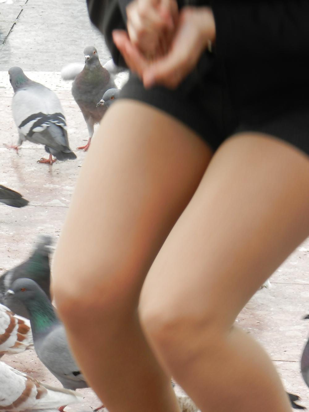 7P Lucky pigeon