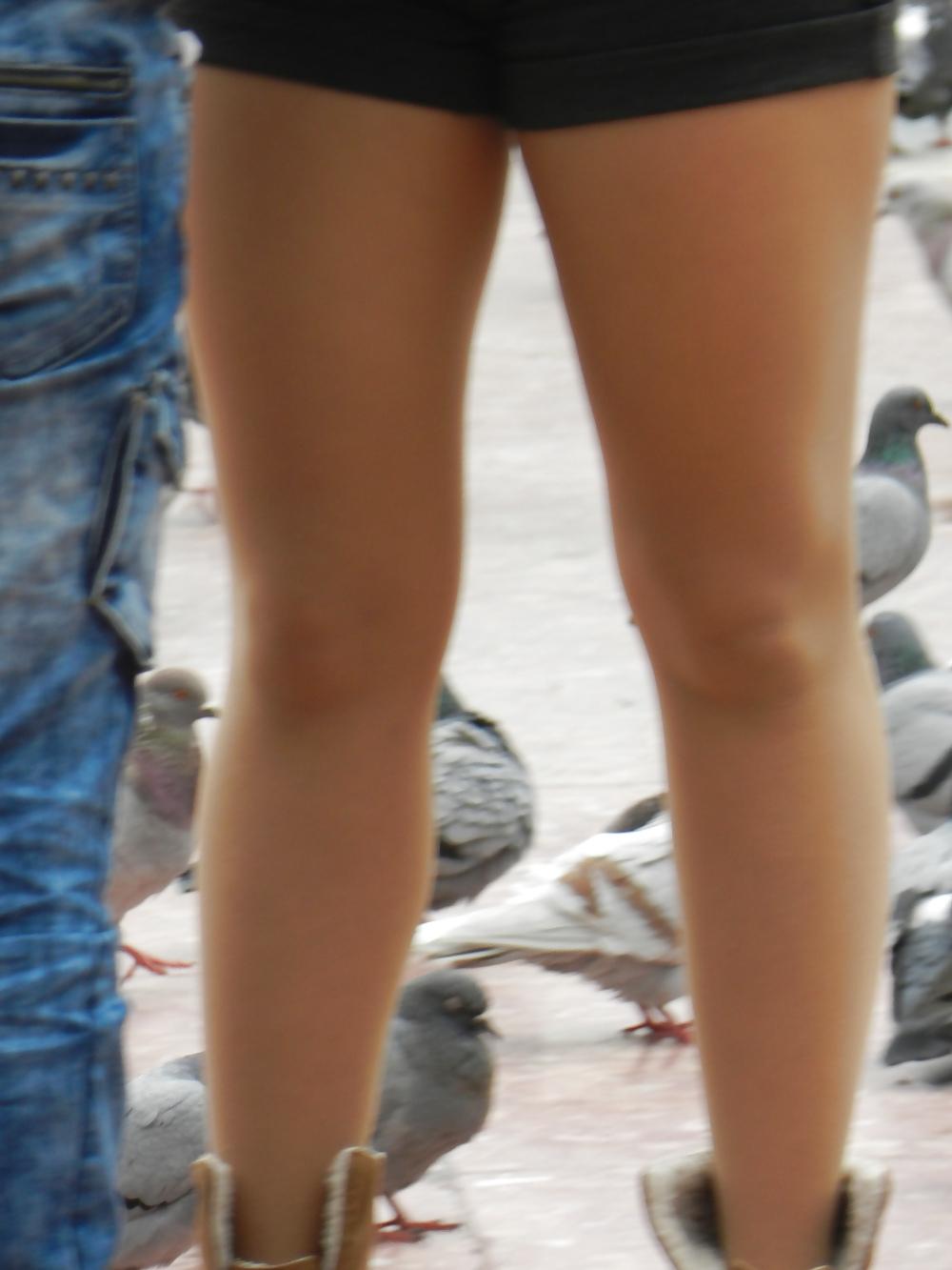 7P Lucky pigeon