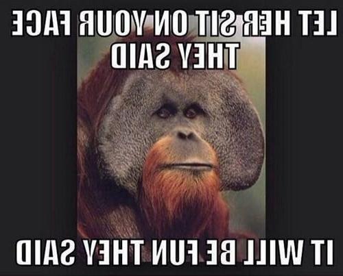 10P Funny And Sexy Memes