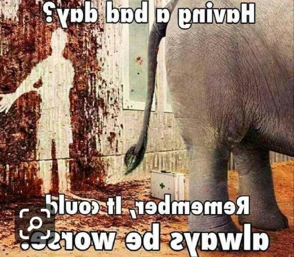 12P Funny