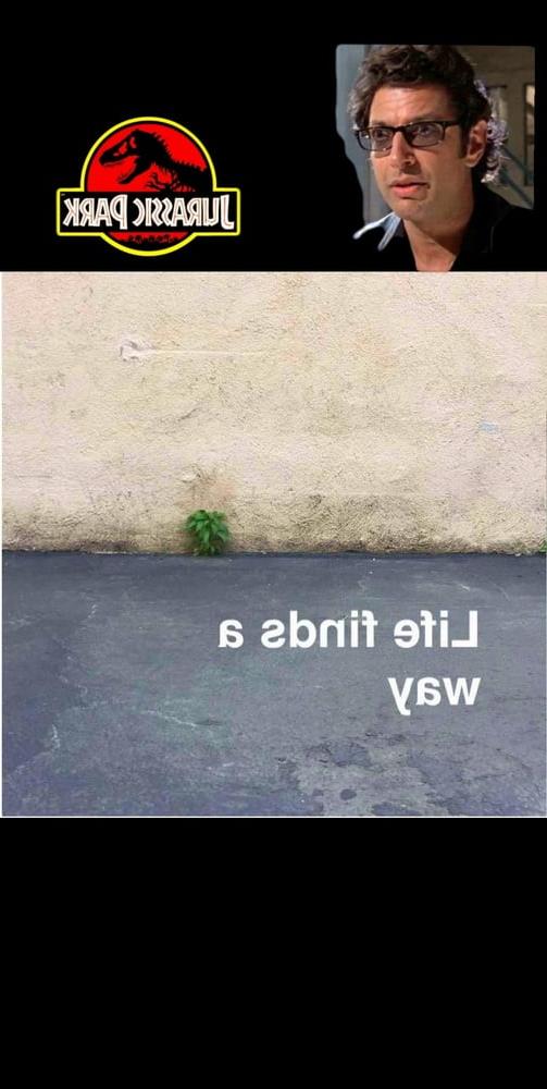 12P Funny
