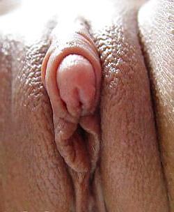 19P I Want To Lick Your Pussy
