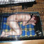 14P Housewife Sex Slaves