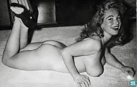 6P Big boob 1950s housewife
