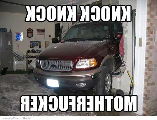 14P Funny and Random Gifs