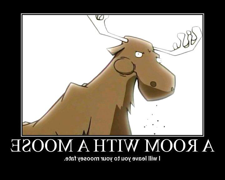 14P Funny and Random Gifs
