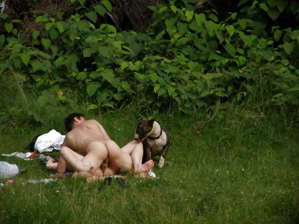 25P Dans le parc