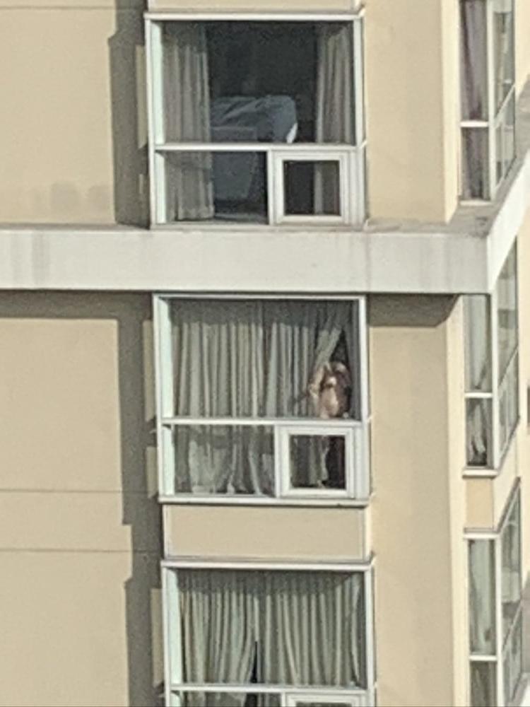 7P hotel