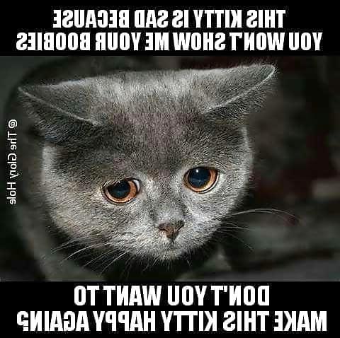 12P More FUCKIN' FUNNY Stuff!!!