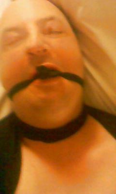25P SHEFFIELD HOTEL SOLO FUN