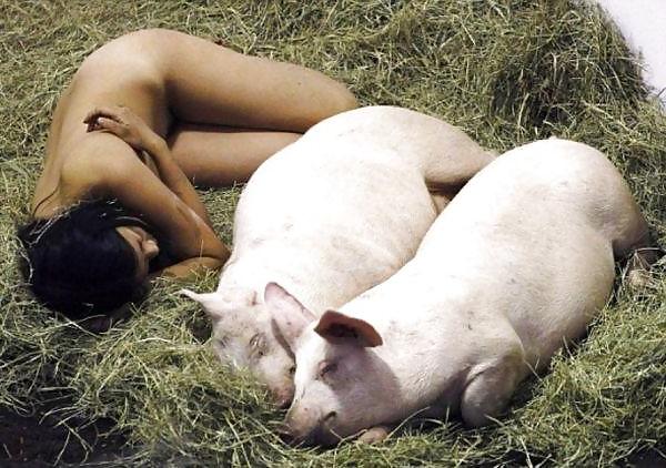 11P Fuck Pigs