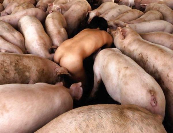 11P Fuck Pigs