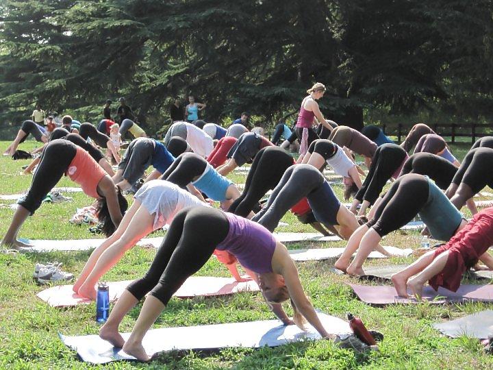 25P Yoga Pants 2012 new 75 real pics