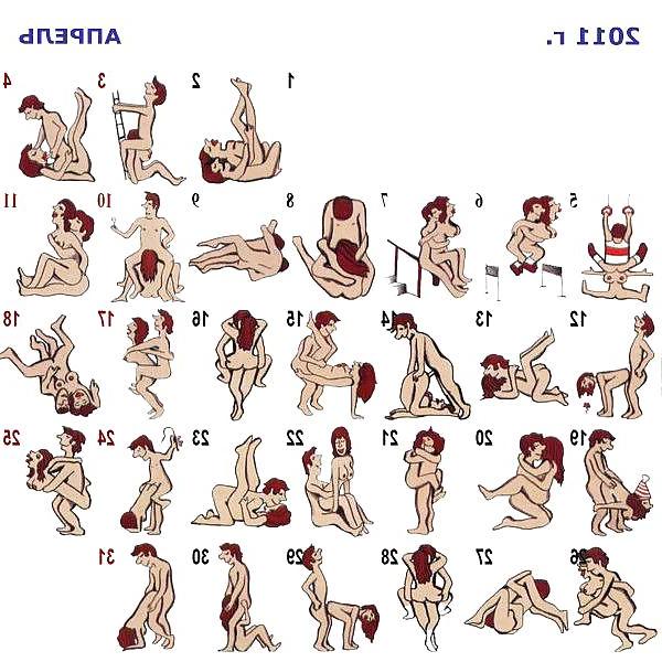 15P Sex Positions For 365 Day's