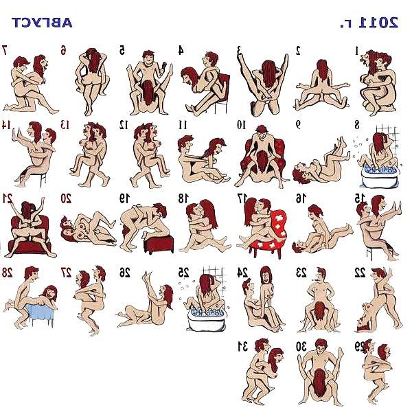 15P Sex Positions For 365 Day's
