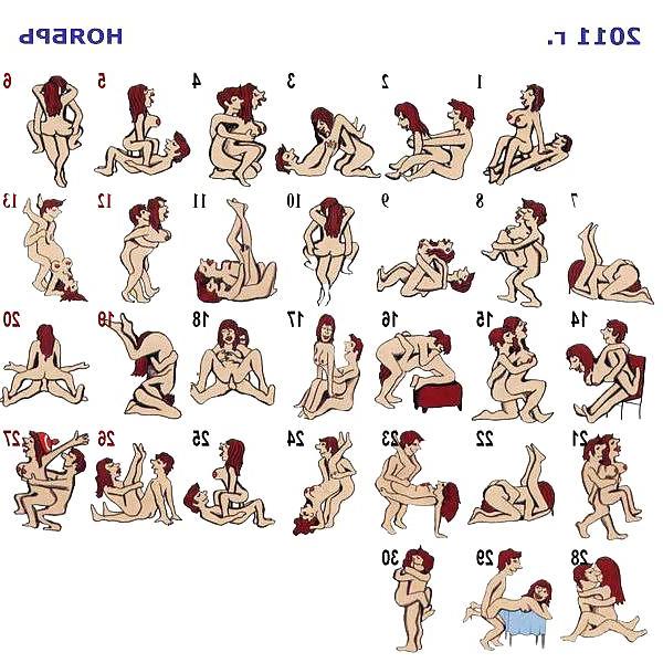 15P Sex Positions For 365 Day's